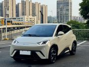 比亚迪 海鸥 2023款 自由版